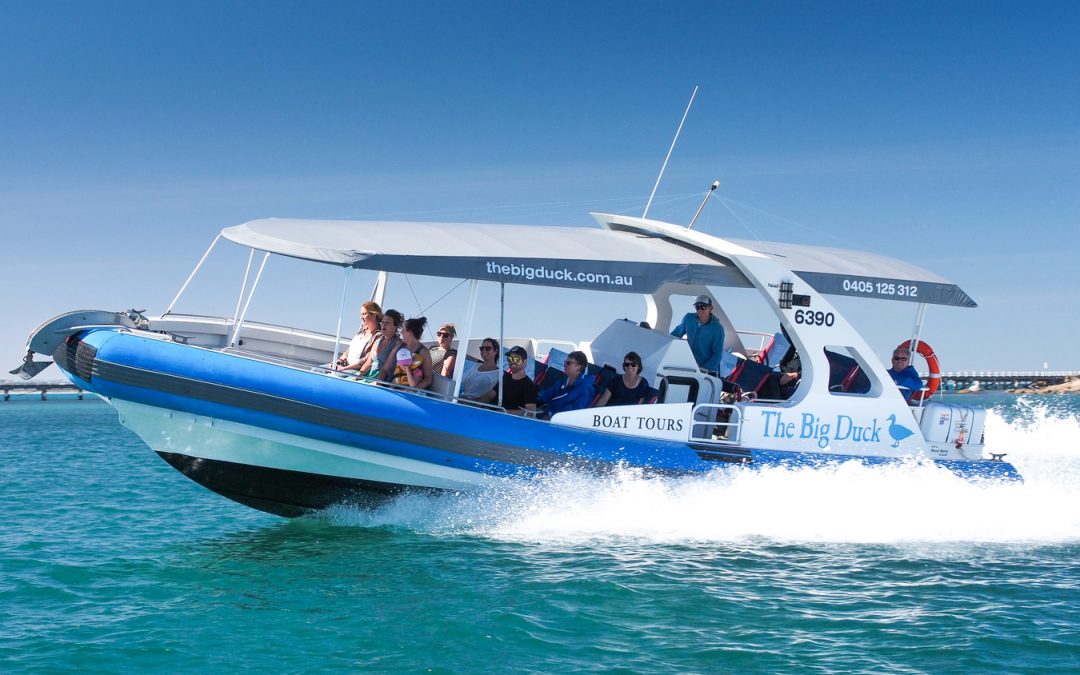Big Duck whale-watching & dolphin cruises