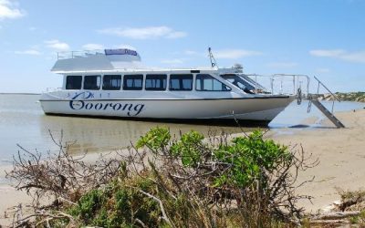 Spirit of the Coorong Cruises